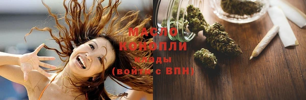 ешки Бородино