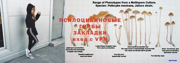 гидра Верхний Тагил