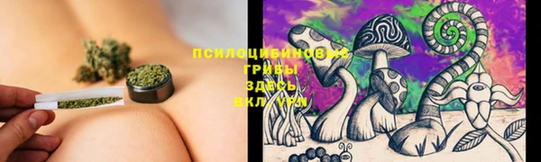 молекула духа Верея