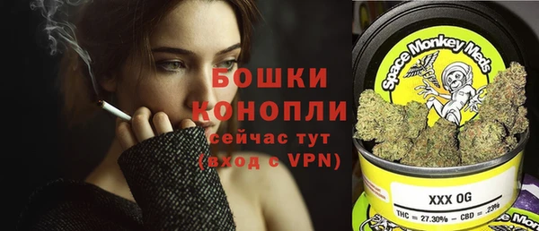 ешки Бородино
