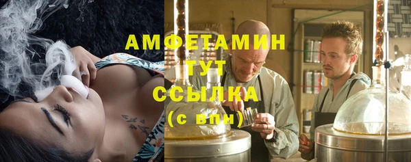 шишки Володарск