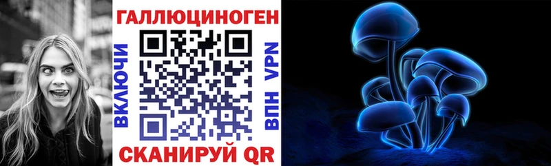 Галлюциногенные грибы Psilocybine cubensis  Камызяк 