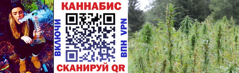 купить   Камызяк  МАРИХУАНА семена 